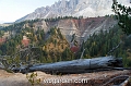 wbgarden alps 46